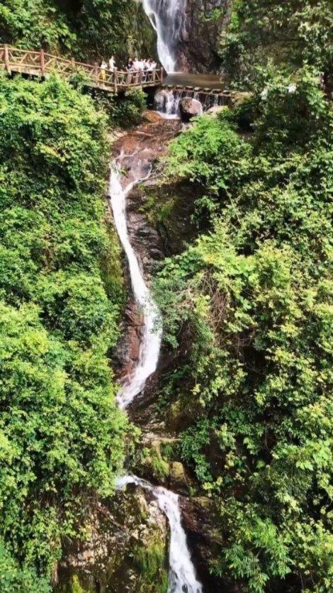 盐和避难所