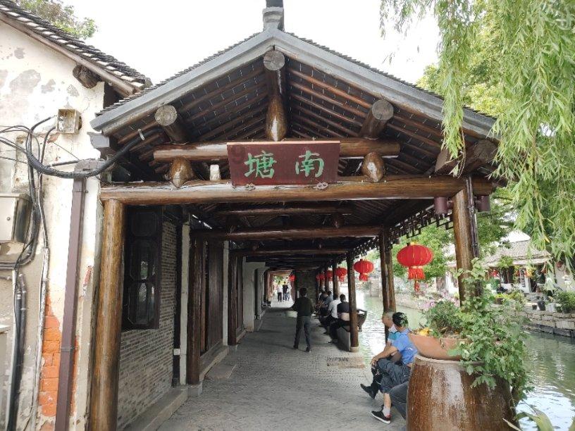 饥饿的松鼠救援